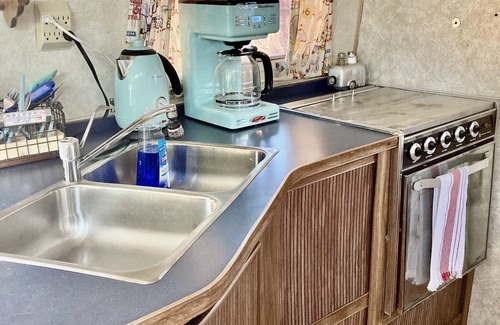 Woodland Park House | PVP58 Vintage 1977 AirstreamRV — With Private Hot Tub!
