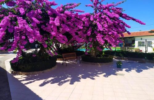 Paco House | QM - Quinta da Morgadinha - Casa em Quinta Rural