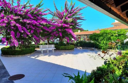 Paco House | QM - Quinta da Morgadinha - Casa em Quinta Rural