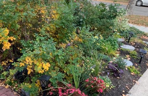 West Edmonton Bed & Breakfast | Quaint & Cozy Accommodation