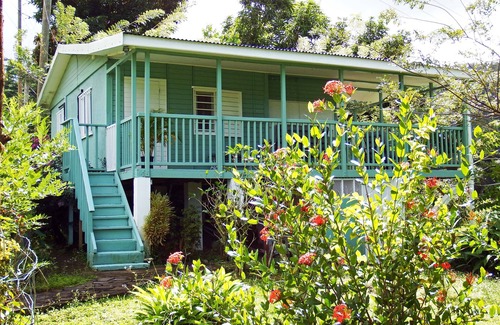 Picard House | Quaint Hide-Away House Overlooking Picard River and Nestled Amongst the Trees