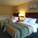Easton Hotel | Quality Inn Easton