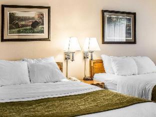 Petoskey Hotel | Quality Inn Petoskey-Harbor Springs