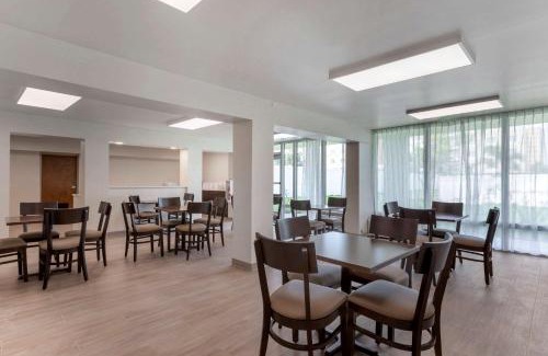 St. Petersburg - Clearwater Hotel | Quality Inn Saint Petersburg North-Tampa Bay