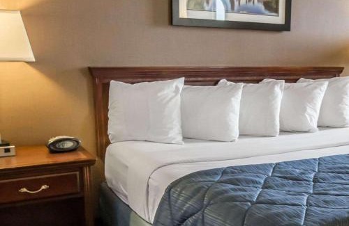 Schaumburg Hotel | Quality Inn Schaumburg - Chicago near the Mall