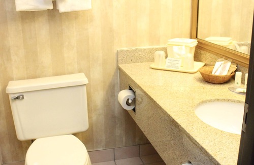 Romulus Hotel | Quality Inn & Suites Detroit Metro Airport
