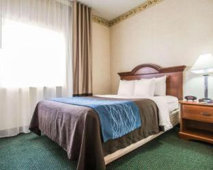 Dixon Hotel | Quality Inn & Suites Dixon near I-88