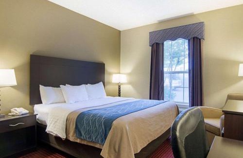 Little Rock Hotel | Quality Inn & Suites Little Rock West