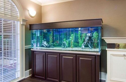 Little Rock Hotel | Quality Inn & Suites Little Rock West