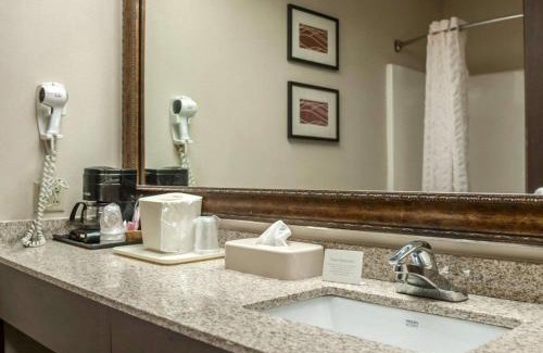 Cahokia Hotel | Quality Inn & Suites near St Louis and I-255