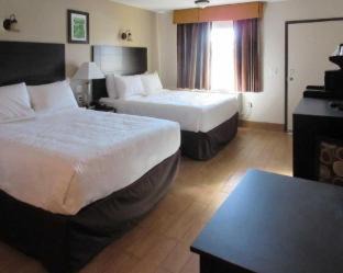 Oleander - Sunset Hotel | Quality Inn & Suites near Downtown Bakersfield