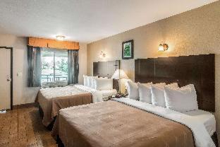 Oleander - Sunset Hotel | Quality Inn & Suites near Downtown Bakersfield