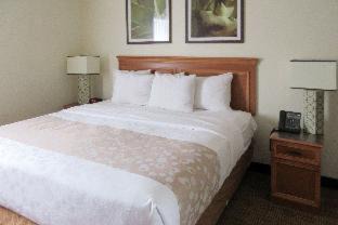 Morrisville Hotel | Quality Inn & Suites Raleigh Durham Airport