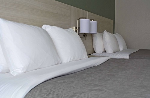 East Syracuse Hotel | Quality Inn & Suites East Syracuse - Carrier Circle