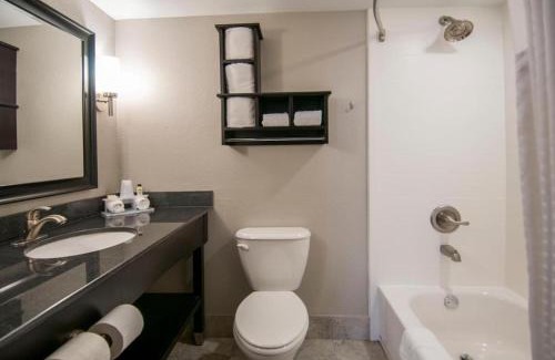 Jackson Apartment | Queen Bed Hotel Suite 161