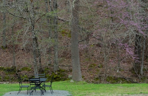 Mount Ida Apartment | Queen Guest Room located at the Joplin Inn at the entrance to Mountain Harbor, just 2 1/2 miles from Lake Ouachita. by RedAwning