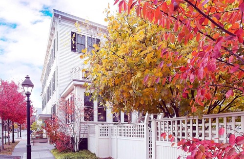 Milford House | Queen Suite, Hotel Fauchere, Heated Floors, Terrace, Near Mildfort Attractions