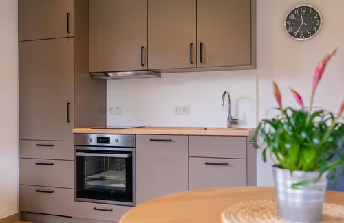 Saalfelden am Steinernen Meer Apartment | Quiet and nice apartment with a terrace