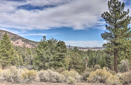 Big Bear City House | Quiet Big Bear City Cabin with Loft 5 Mi to Village