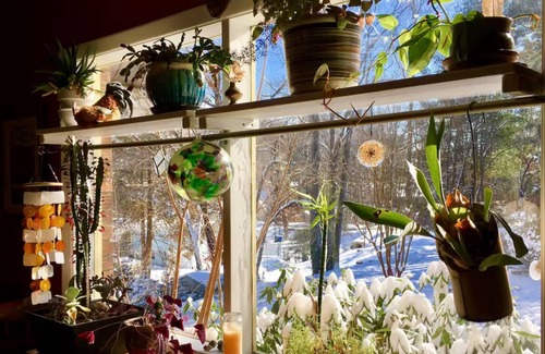 Asheville House | Quiet bungalow in west Asheville with hot tub, fitness room, and a wood stove.