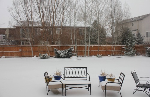 Monument House | Quiet Family Friendly Home near AFA/Downtown Monument/I25 - Great Monthly Rates!