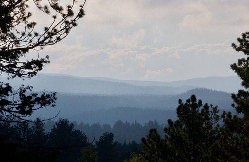 Red Feather Lakes House | Quiet Home on Large Ranch Surrounded by National Forest