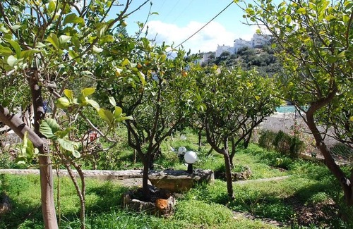Ammoudara Villa | Quiet place with efflorescent garden