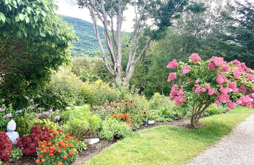 Middlebury Apartment | Quiet, sunny apartment with WiFi and southerly views in delightful Middlebury
