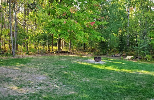 Cadillac Cabin | Quiet up north retreat with access to Lake Mitchell and trails.