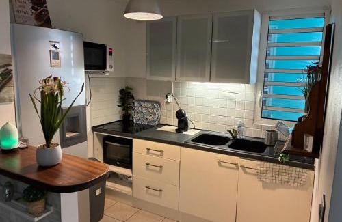 Saint-Paul Apartment | Quiet, Zen garden 5 min to airport ocean view