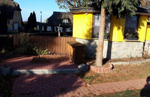 Born auf dem Darss House | Quietly located bungalow near the kite and surf spot Born - Sonnenblume