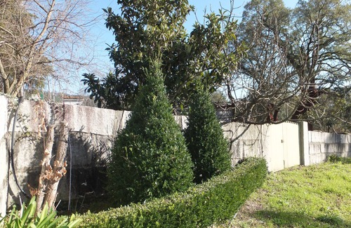 Agueda Villa | Quinta de Santa Maria - or ar saudável da Serra!
