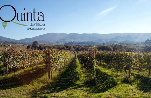 Moncao Apartment | Quinta De Vila Nova - Agroturismo
