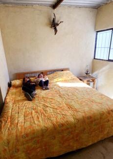 San Francisco de los Romos Other | Quinta el cocula cabañas y camping
