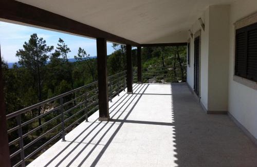Sever do Vouga House | Quinta Porto dos Lobos