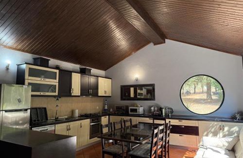 Celorico da Beira House | Quinta Santo Antonio do Rio