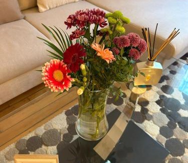 Issy-les-Moulineaux Apartment | Résidence Renan - Paris Porte de Versailles