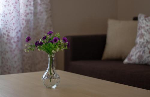 Zamora Apartment | Río Duero 1