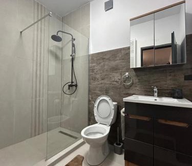 Tirgu Ocna House | R & T Apartments