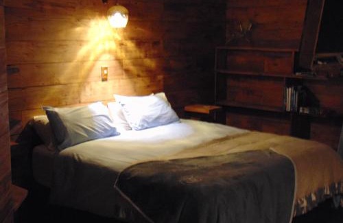 Raglan Villa | Raglan's Tranquil Garden Retreat - Moa Stone Lodge