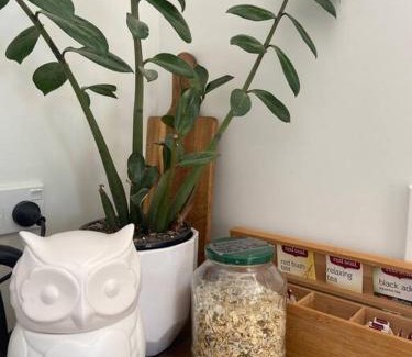 Raglan Villa | Raglan Studio at The Coastal Retreat