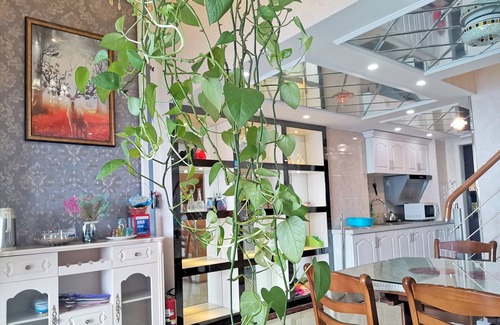 Gu Su District Apartment | Railway Station Splendid Elegant Apartment