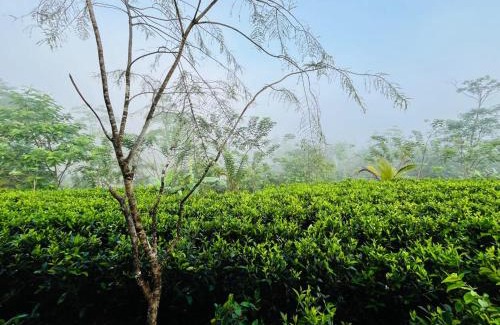 Warukandeniya Villa | Rainforest Mount Villa