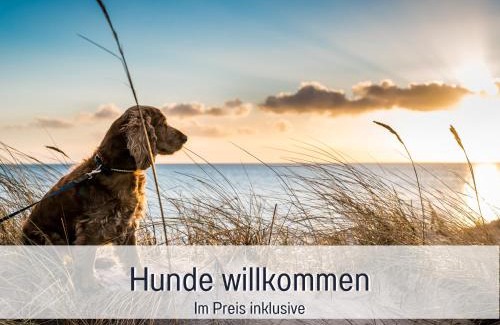 Steinberg Apartment | RamosHansenHof Fewo Nordlicht 6 Personen Hund inklusiv