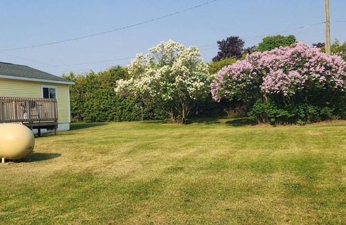 St Ignace House | Ranch home with 3 bedrooms upstairs and 1 down. Refurnished June of 2022