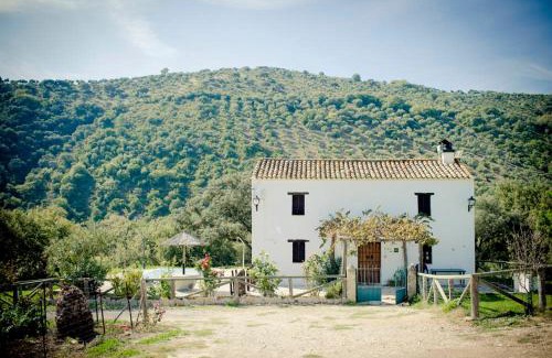 Prado del Rey House | Rancho Calvillo