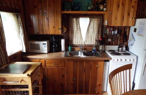Traverse City Cabin | Rare find-Waterfront Lake Leelanau Cabin at Au She Gun with weekend stays!