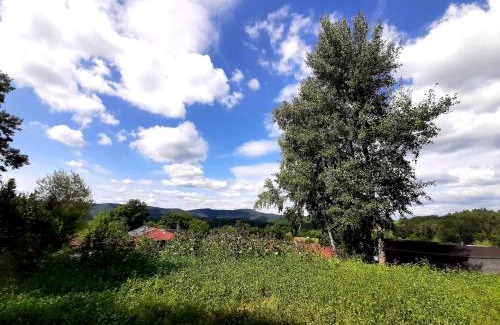 Bruchweiler-Baerenbach House | Rausblick Cabin