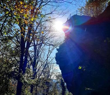 Bruchweiler-Baerenbach House | Rausblick Cabin
