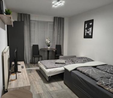 Regensburg Apartment | Re-in City-DE
